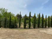 Satılır 40 sot torpaq Mərdəkan