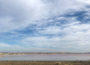 Satılır 20 sot torpaq Saray