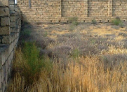 Satılır 6 sot torpaq Badamdar