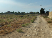 Satılır 50 sot torpaq Zirə