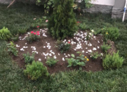 Satılır 8 sot torpaq Mərdəkan