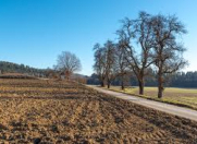 Satılır 1500 sot torpaq Ələt