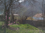 Satılır 6 sot torpaq Şəki