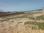 Satılır 39 sot torpaq Novxanı