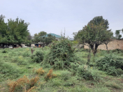 Satılır 75 sot torpaq Mingəçevir