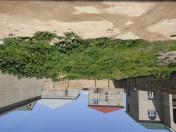 Satılır 4 sot torpaq Savalan