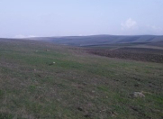 Satılır 30 sot torpaq Şamaxı