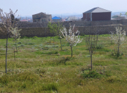 Satılır 10 sot torpaq Mehdiabad