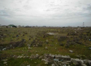 Satılır 345 sot torpaq Sabunçu r.