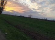 Satılır 200 sot torpaq Şabran