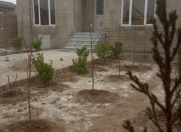 Satılır 3 otaqlı 120 m2 həyət evi Binə