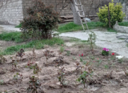 Satılır 3 sot torpaq Əmircan