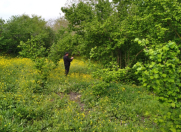 Satılır 22 sot torpaq Xaçmaz