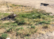 Satılır 3 sot torpaq Şirvan