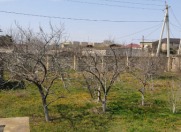 Satılır 4.2 sot torpaq Sumqayıt