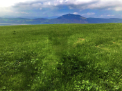 Satılır 145 sot torpaq Quba