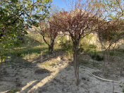 Satılır 3 sot torpaq Sumqayıt