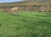 Satılır 14 sot torpaq Quba