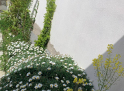 Satılır 3 otaqlı 200 m2 bağ evi Hövsan