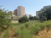 Satılır 21 sot torpaq Xırdalan