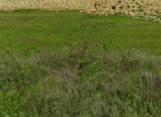 Satılır 16 sot torpaq Quba