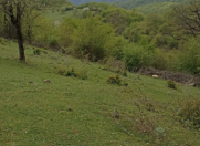 Satılır 70 sot torpaq Quba