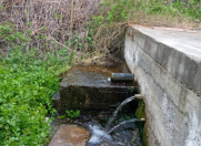 Satılır 7 sot torpaq Xaçmaz