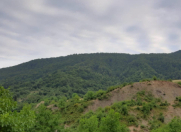 Satılır 9 sot torpaq İsmayıllı