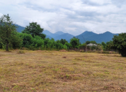 Satılır 150 sot torpaq Qəbələ