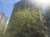 Satılır 1 otaqlı 59.25 m2 yeni tikili 8 mkr