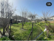 Satılır 3 sot torpaq Ağdaş