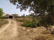 Satılır 2 otaqlı 150 m2 bağ evi Bilgəh