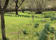 Satılır 15 sot torpaq Oğuz