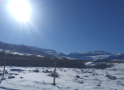 Satılır 12 sot torpaq Quba