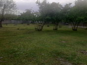 Satılır 16 sot torpaq Qəbələ