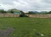 Satılır 12 sot torpaq Qəbələ