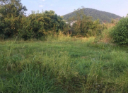 Satılır 16 sot torpaq Zaqatala