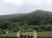 Satılır 81 sot torpaq Quba