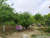 Satılır 2 otaqlı 100 m2 bağ evi Maştağa