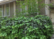 İcarəyə verilir 3 otaqlı 80 m2 ofis Bakı Asiya Universiteti