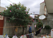 Satılır 3 otaqlı 100 m2 həyət evi Bakıxanov