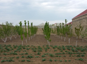 Satılır 3 otaqlı 120 m2 həyət evi Asan Xidmət-4