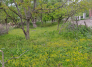 Satılır 4 sot torpaq Quba