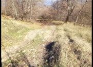 Satılır 300 sot torpaq İsmayıllı