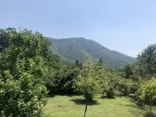 Satılır 10 sot torpaq Qax