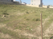 Satılır 1 otaqlı 1000 m2 həyət evi Saray