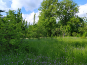 Satılır 10 sot torpaq İsmayıllı