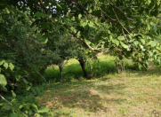 Satılır 14 sot torpaq Quba