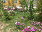 Satılır 3 otaqlı 110 m2 həyət evi Maştağa