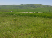 Satılır 220 sot torpaq Şamaxı